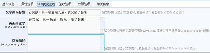 SEO优化选项 SEO优化选项