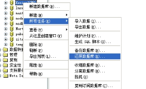程序数据库装置说明—手工还原数据库图文说明(装置要领2) 第 5 张 程序数据库装置说明—手工还原数据库图文说明(装置要领2) 第 5 张